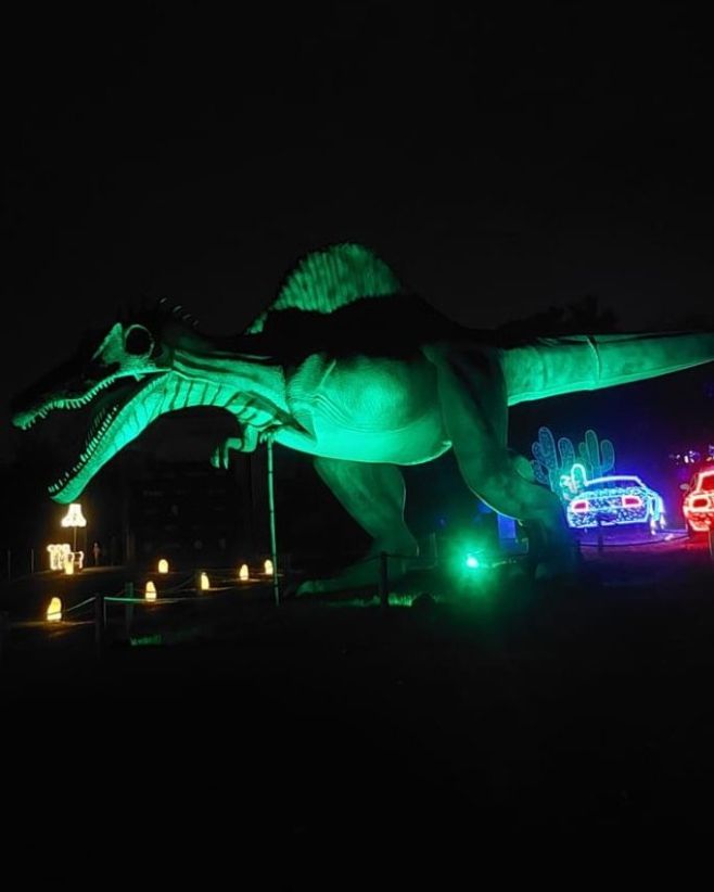 🥳Soutěž o rodinnou vstupenku do Lumina Parku – výherkyně Děkuji všem za skvělou inspiraci na adventní program v Praze s...